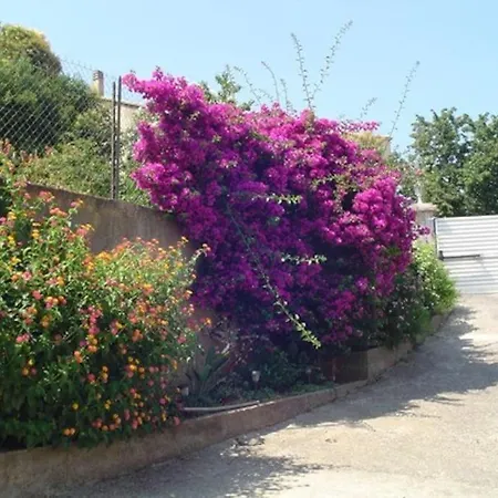 Studio Independant Avec Piscine Furiani Exterior photo